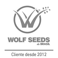 Wolf Seeds